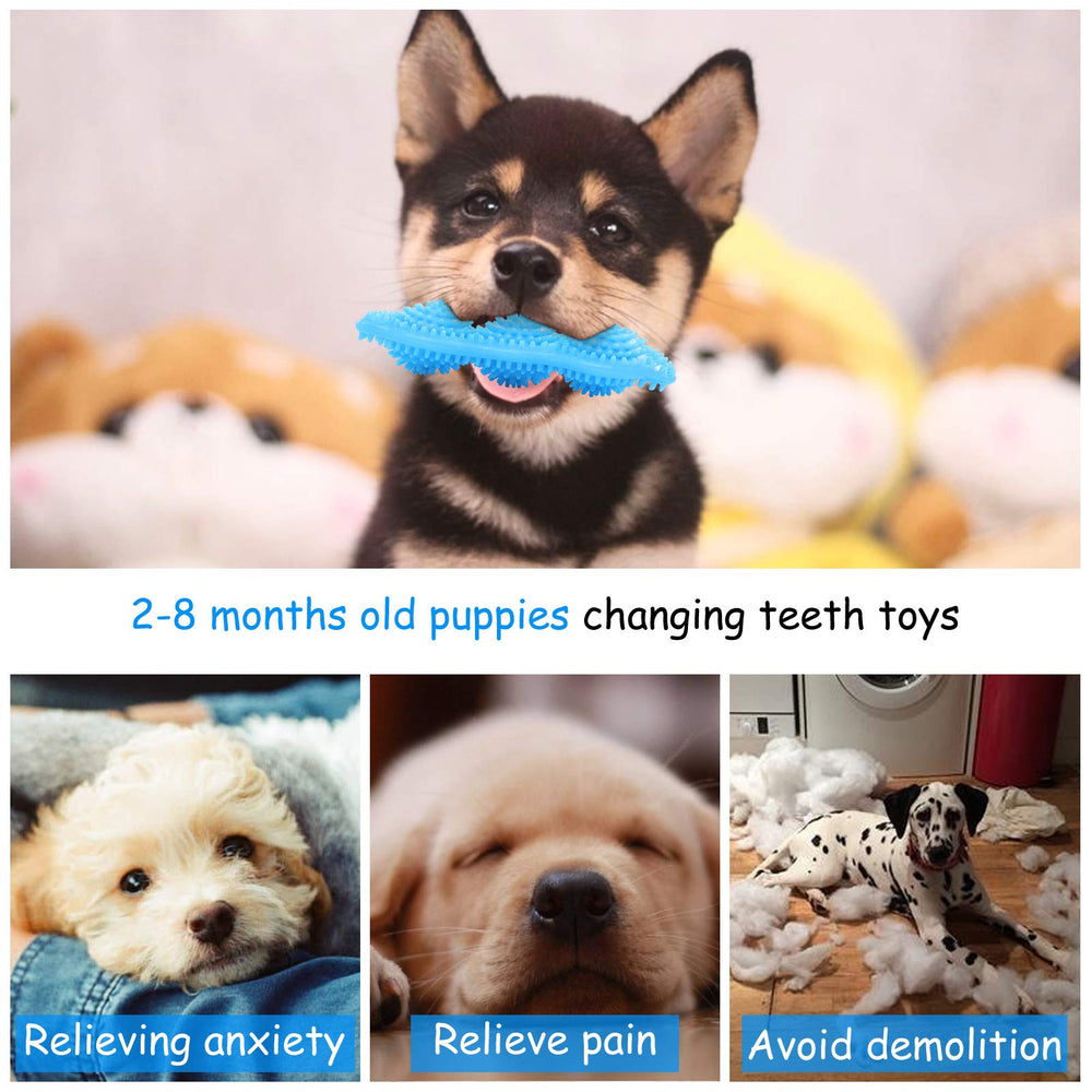 Jouet dentition 360 degrés Hurray pour chiots, nettoyage molaire ciblé