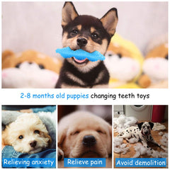 Jouet dentition 360 degrés Hurray pour chiots, nettoyage molaire ciblé