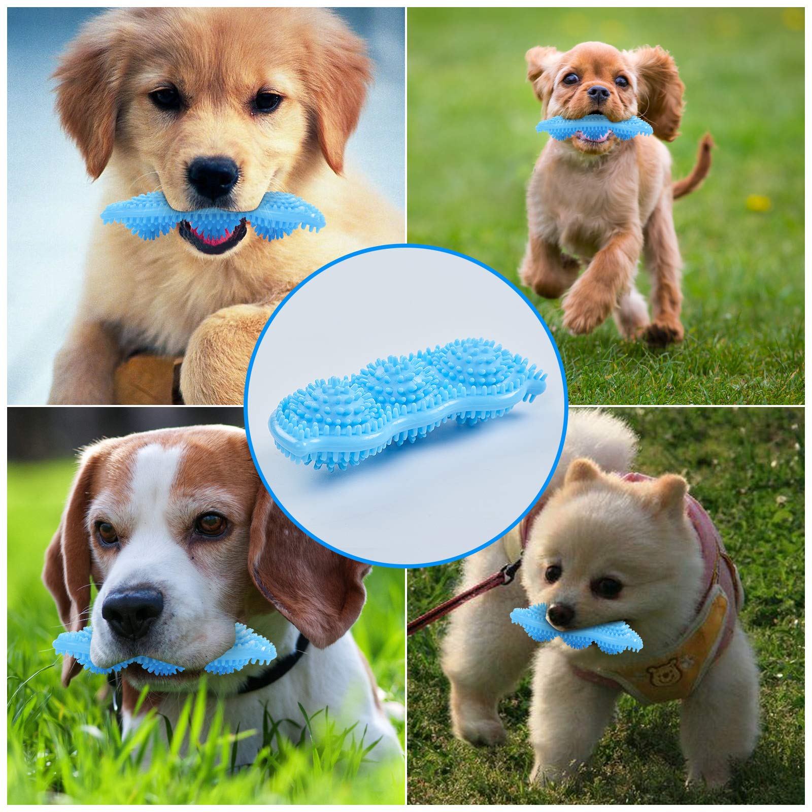 Jouet interactif Hurray pour chiots, stimule l'intérêt et l'intelligence