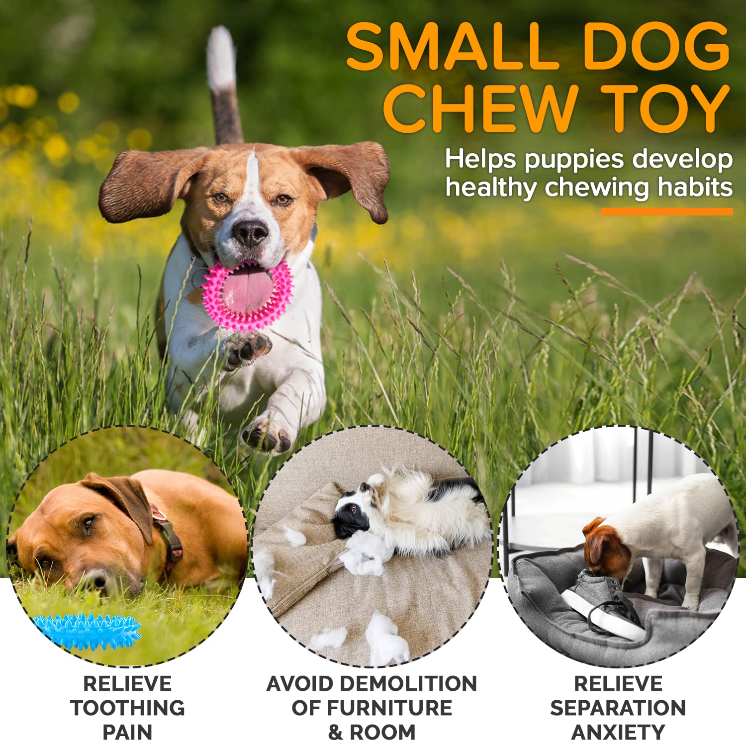 Jouet polyvalent Hurray – amusant pour chiots et petites tailles.