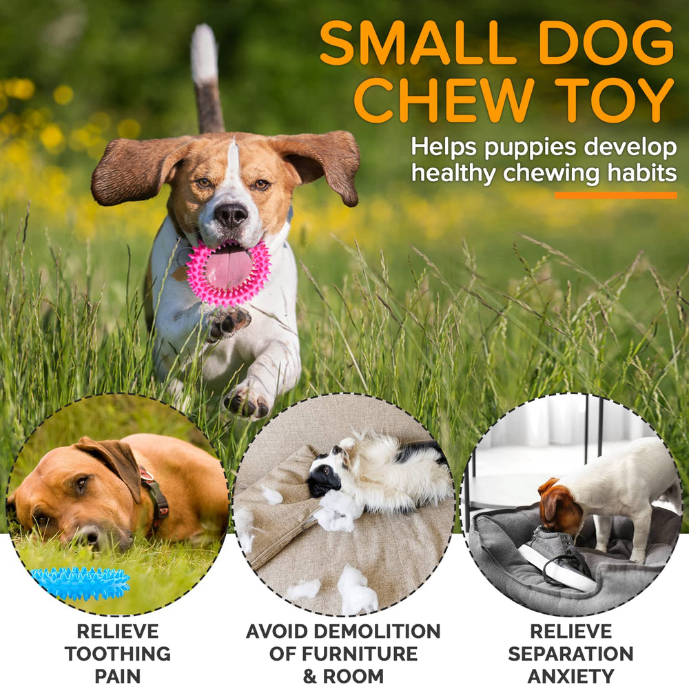 Jouet polyvalent Hurray – amusant pour chiots et petites tailles.