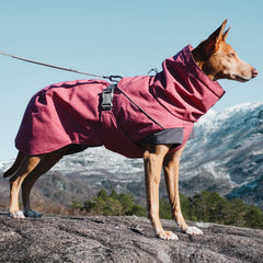 Hurtta Expedition Parka, détail du col reglable pour un ajustement précis.