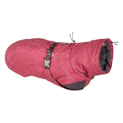 Hurtta Expedition Parka portée par un chien en action pour chaleur et liberté de mouvement.