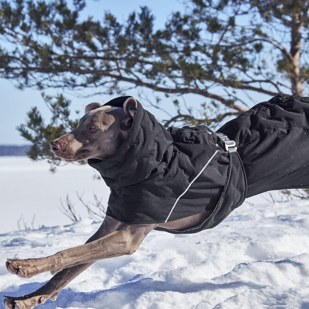 Conception soutenant les muscles clés du chien Hurtta Extreme Warmer