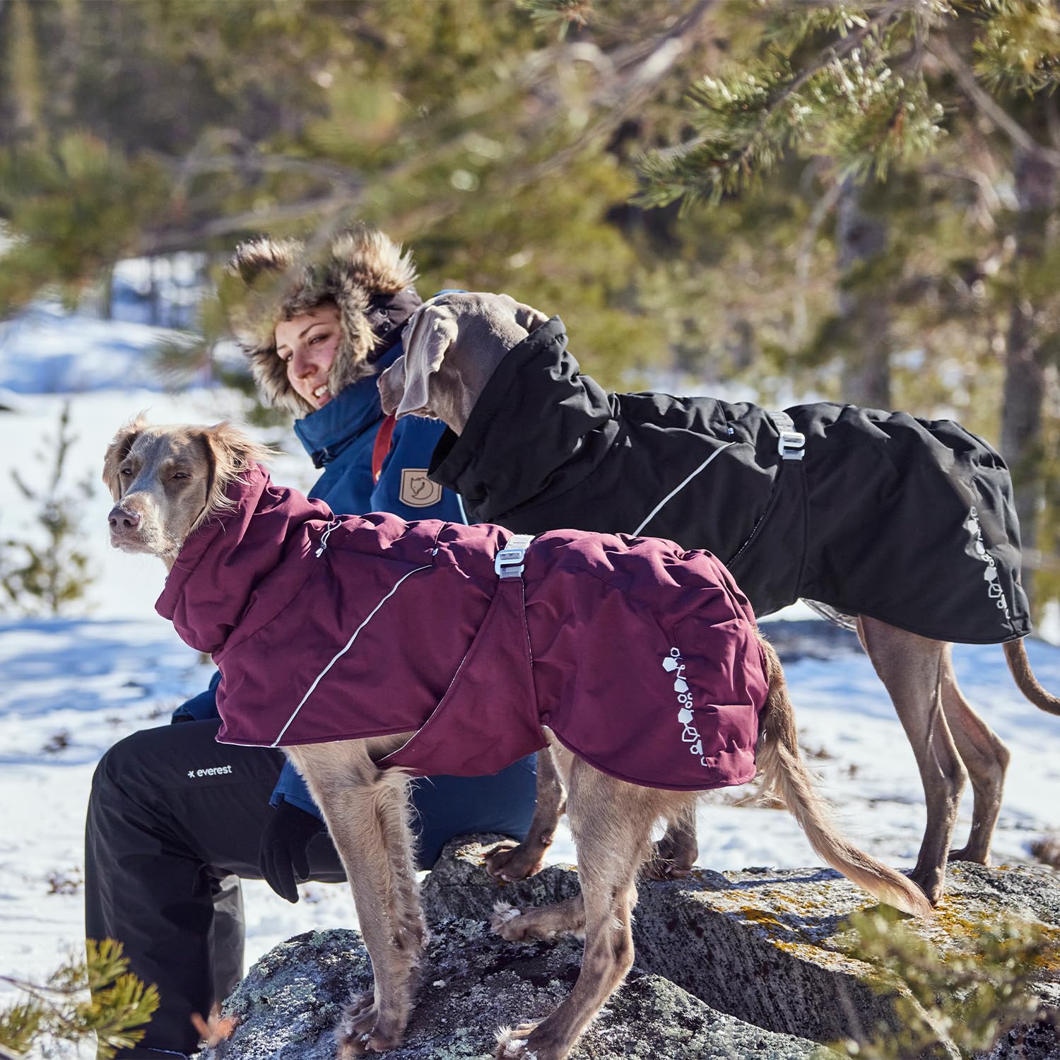 Doublure reflexhissante intérieure du manteau Hurtta, chaleur supplmentaire.