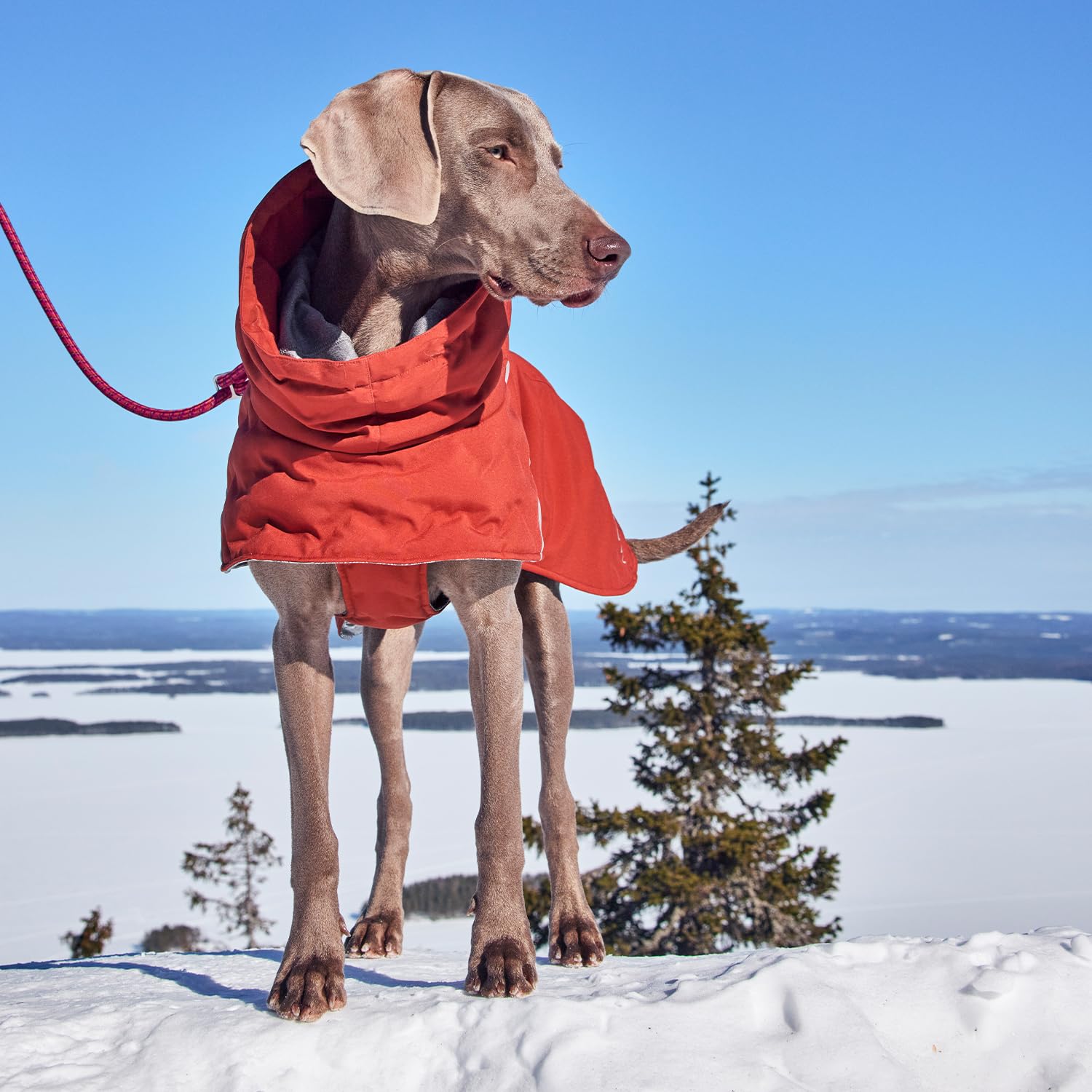 Hurtta Extreme Warmer III ECO – réflecteurs 3M pour une meilleure visibilité nocturne
