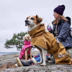 Hurtta Monsoon Coat Eco Col imperméable pour garder le cou sec.
