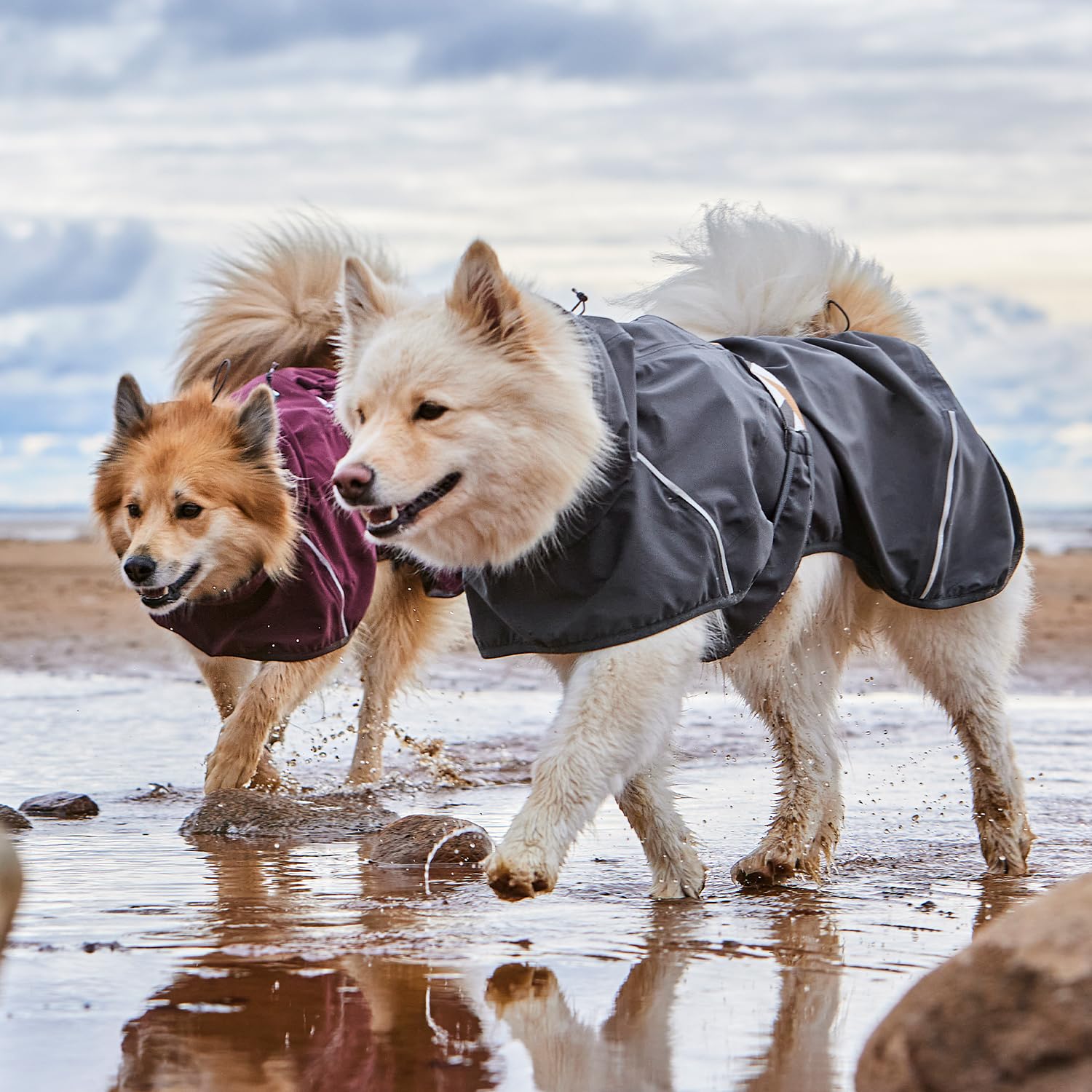 Hurtta Mudventure ECO manteau chien Rainstopper collier protège le cou.