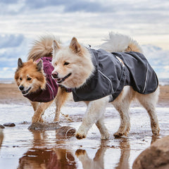 Hurtta Mudventure ECO manteau chien Rainstopper collier protège le cou.