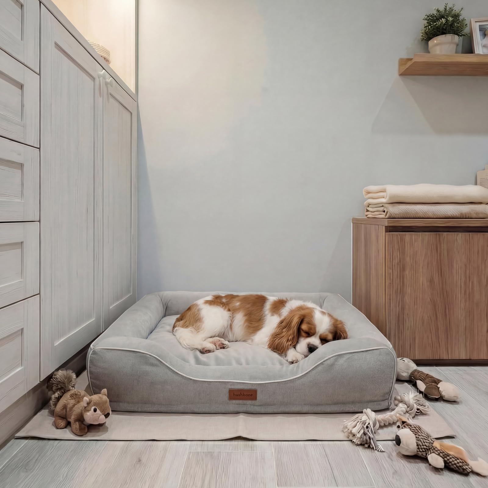 Hush Bone utilisation quotidienne pour chiens moyens, confort durable.