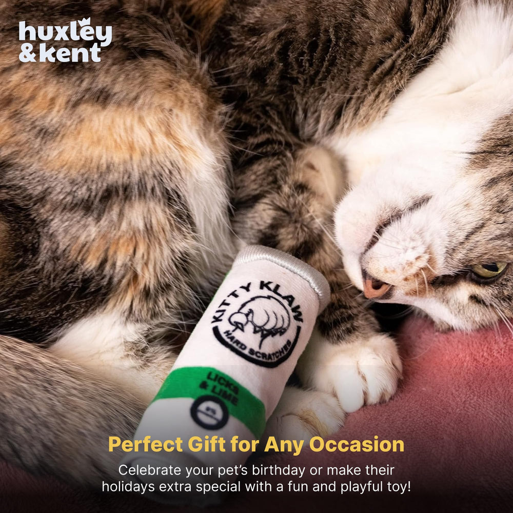 Jouet intérieur Huxley & Kent: divertissement ludique pour chats et chatons.
