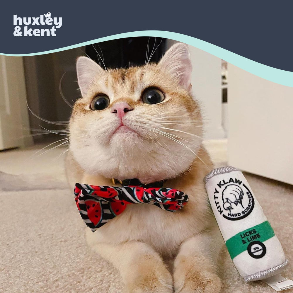 Jouet doux et robuste Huxley & Kent pour chats actifs et curieux.