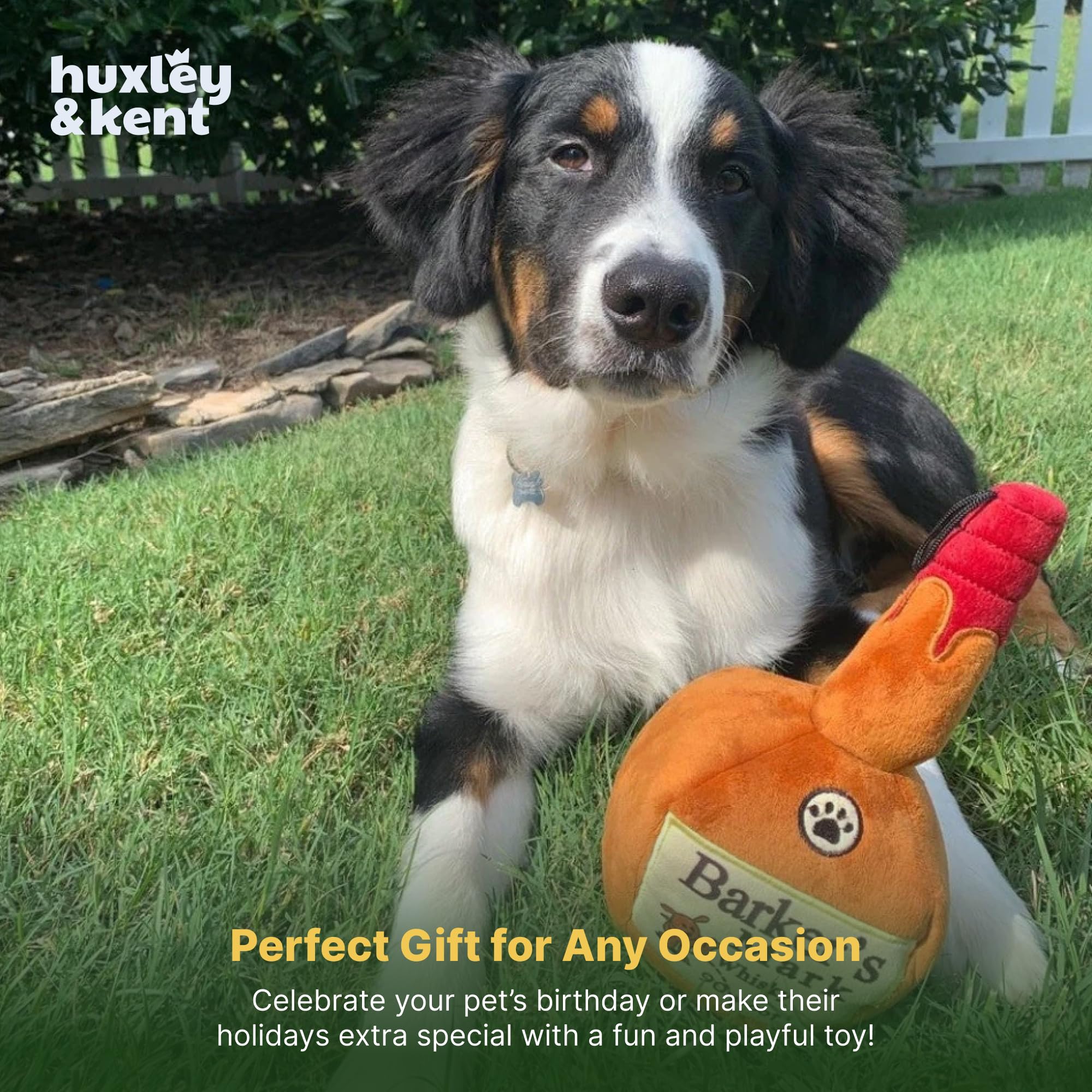 Huxley et Kent - cadeau idéal pour chien et propriétaire