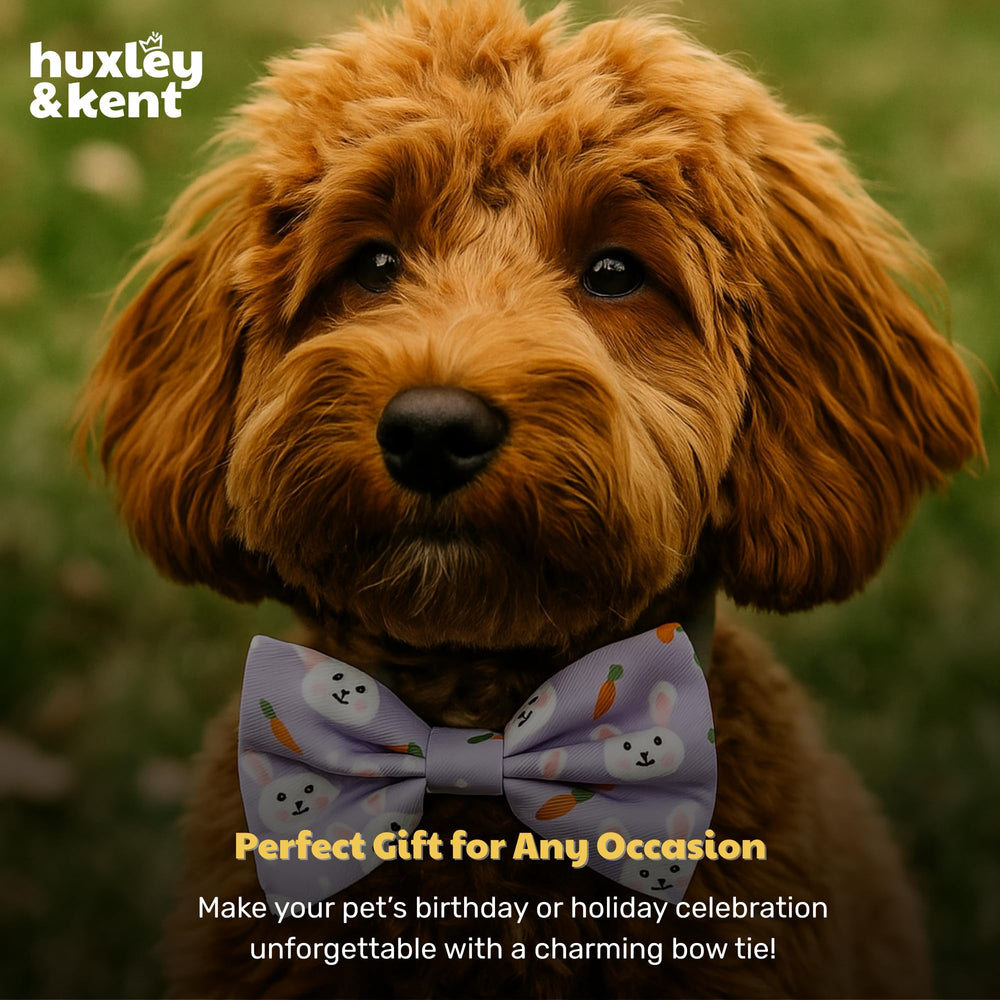 Huxley & Kent idee-cadeau: cadeau idéal pour amoureux des animaux.