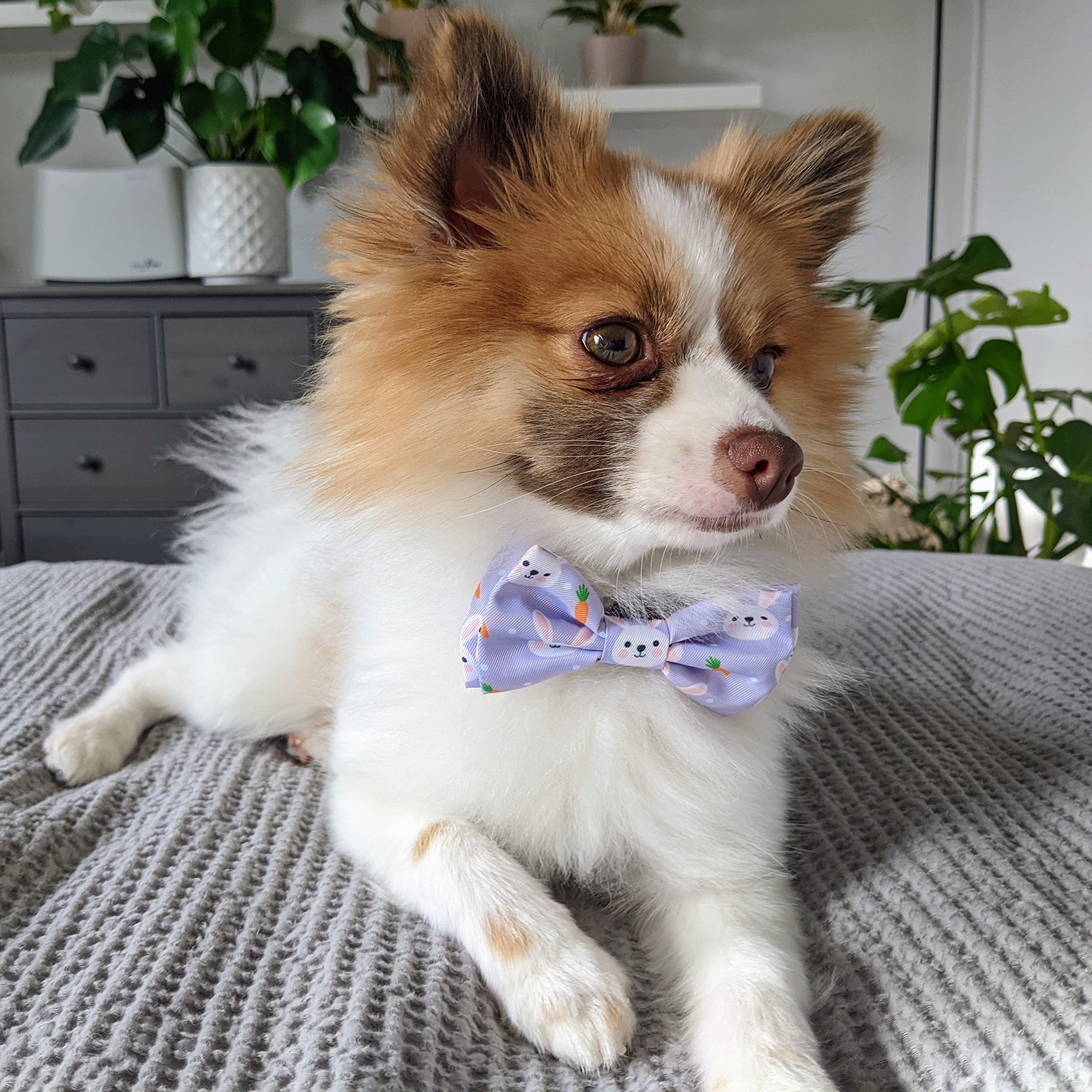 Huxley & Kent noeud-papillon lavable en machine et compatible sèche-linge.