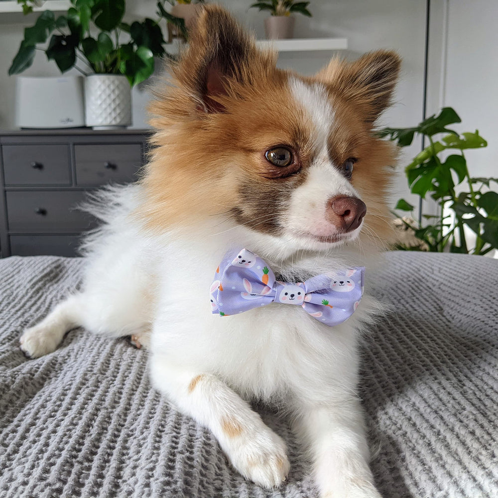 Huxley & Kent noeud-papillon lavable en machine et compatible sèche-linge.