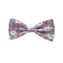 Nœud papillon Huxley & Kent pour chiens et chats, idéal pour fêtes et photos.