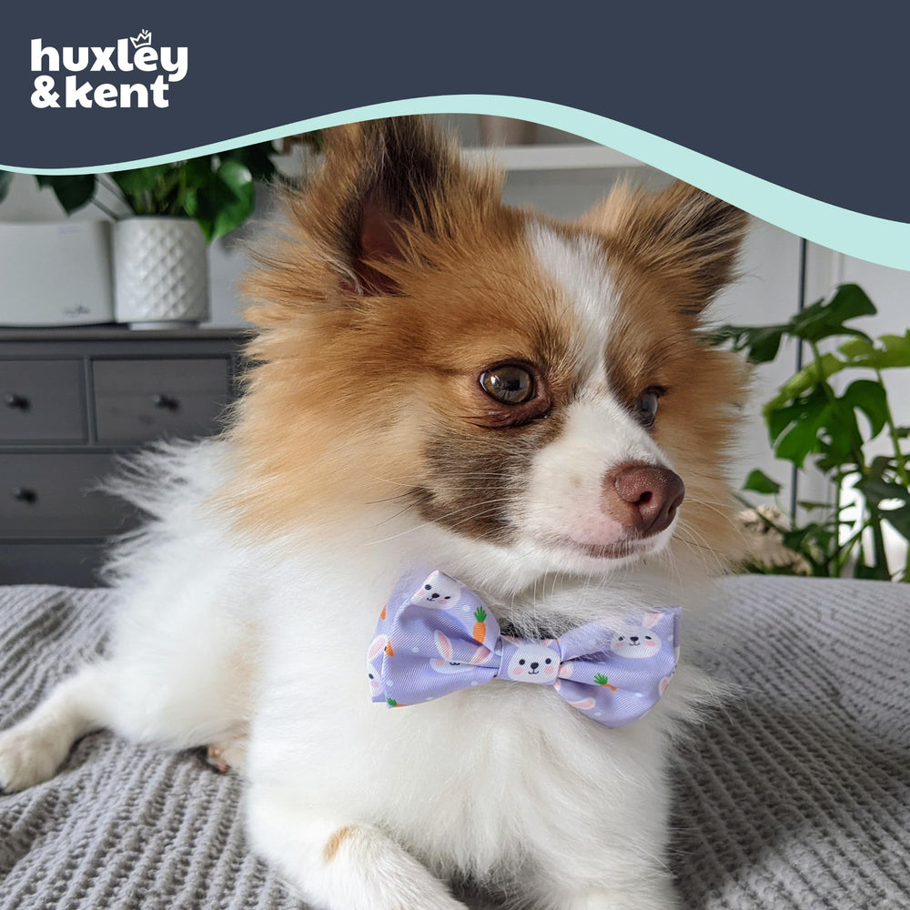 Nœud papillon Huxley & Kent, lavable en machine et facile d'entretien.