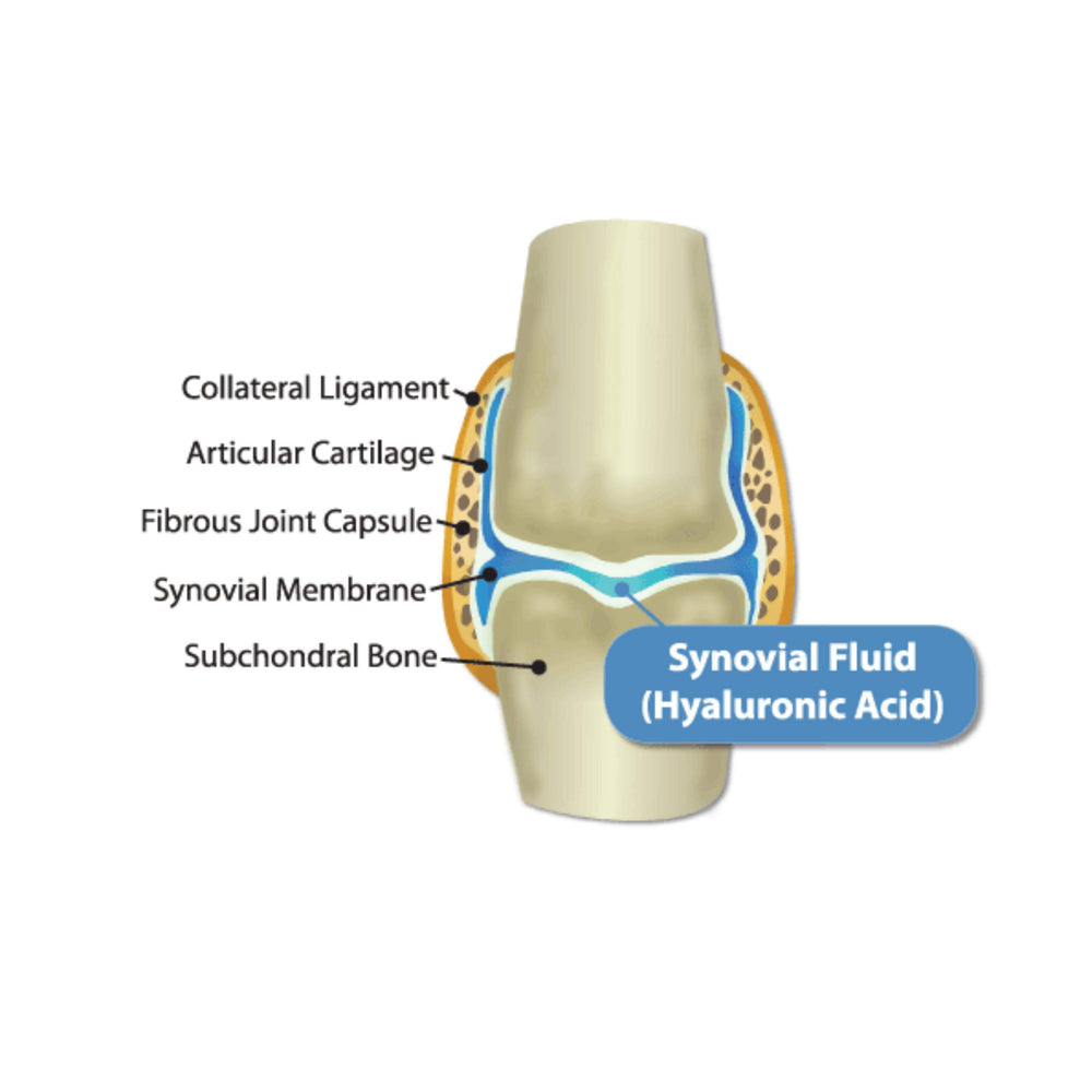 Glucosamine et MSM dans Hyalogic HyaFlex PRO pour articulations.