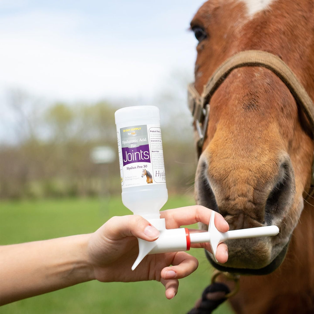 Hyalogic Hyalun Pro: formule neutre, goût neutre pour les chevaux.