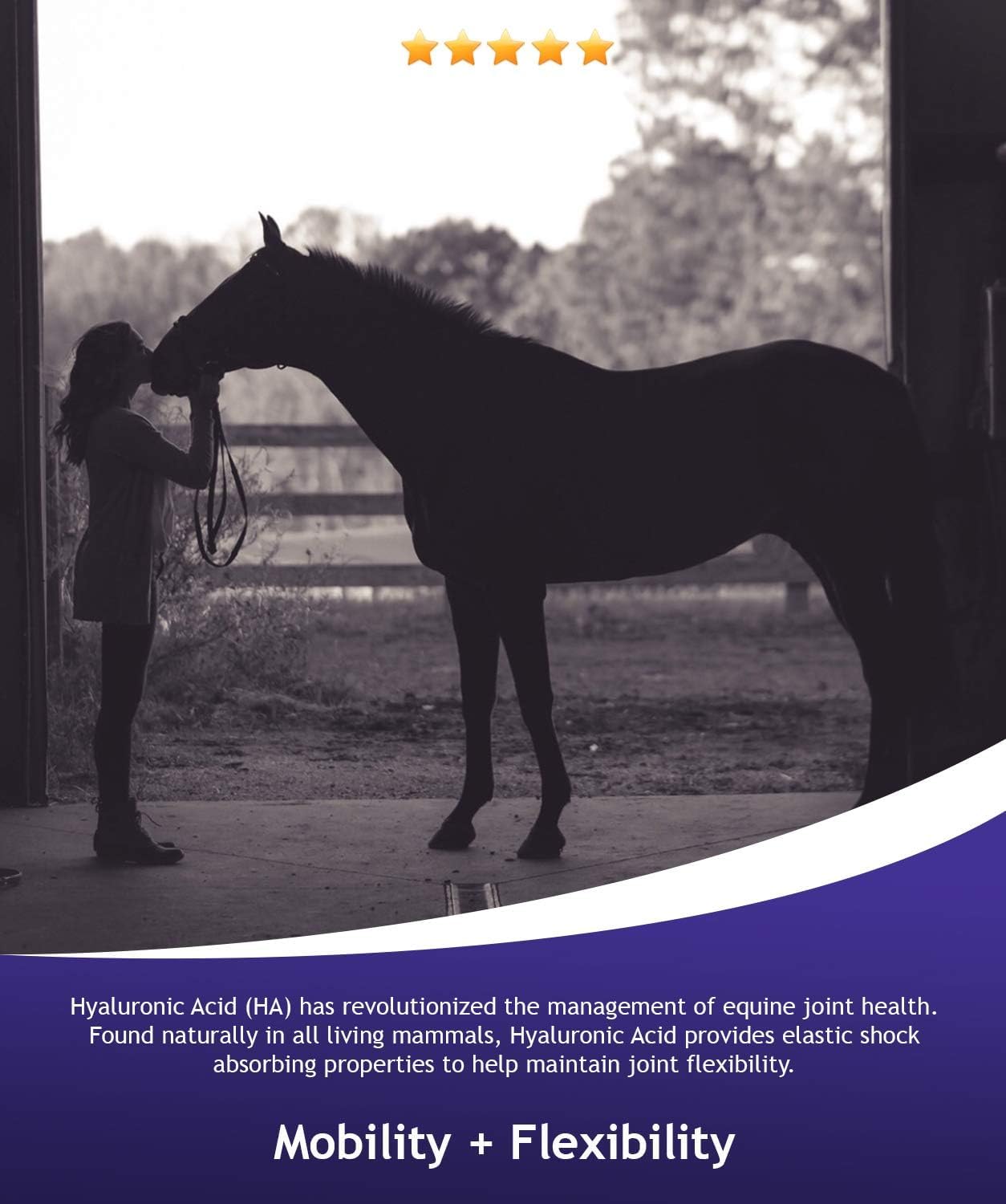 Hyalogic Hyalun Pro: solution pratique pour performances équines.