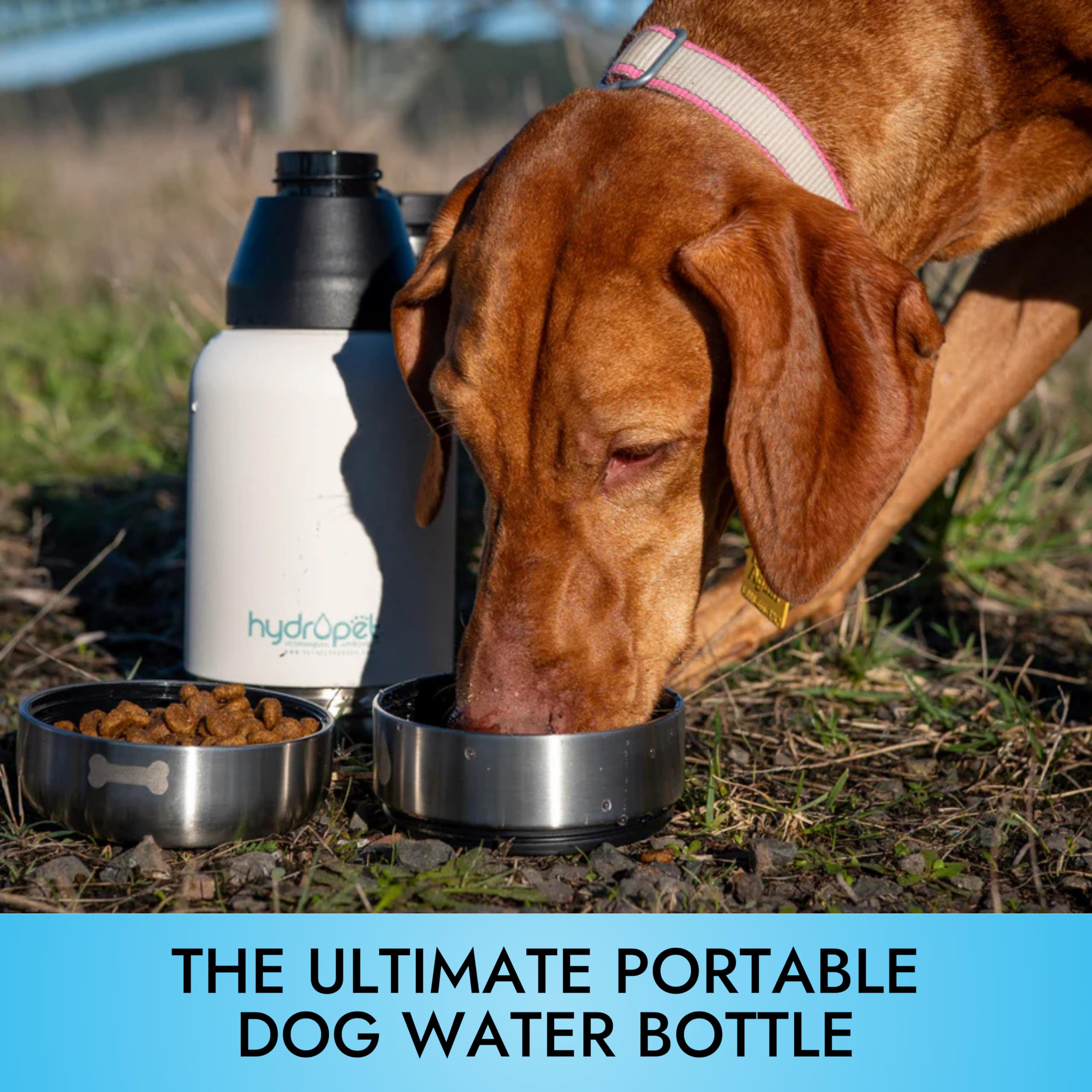 Hydropet bouteille eau chien 32oz couvercle étanche idéal pour voyage