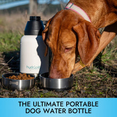 Hydropet bouteille eau chien 32oz couvercle étanche idéal pour voyage