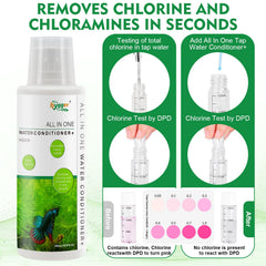 Hygger Aloe Vera extrait pour le bien-être des poissons.