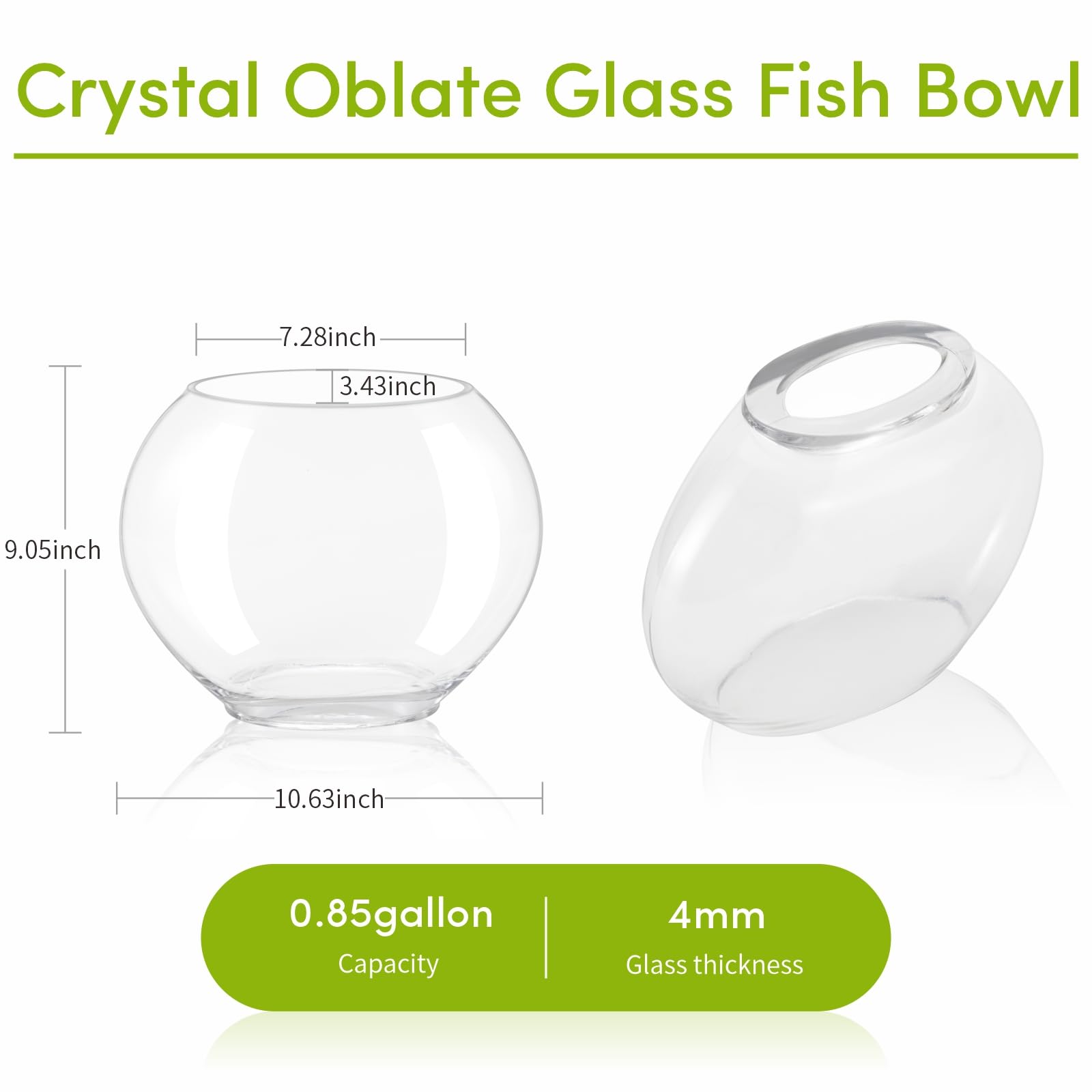 hygger bocal oblate compact, idéal pour table et étagère.