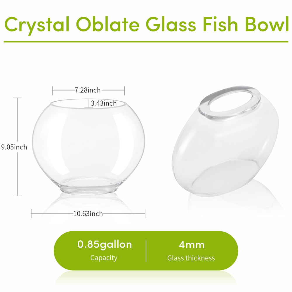 hygger bocal oblate compact, idéal pour table et étagère.