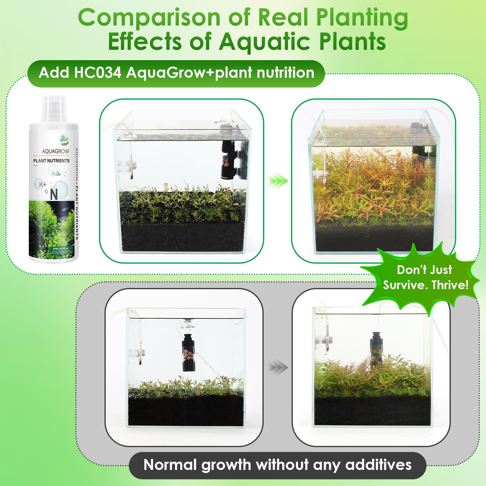 Racines et croissance robuste des plantes aquatiques avec Hygger CO2 HC034