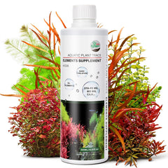 Hygger CO2 HC035 - bouteille-dose pour dosage précis et régulier.
