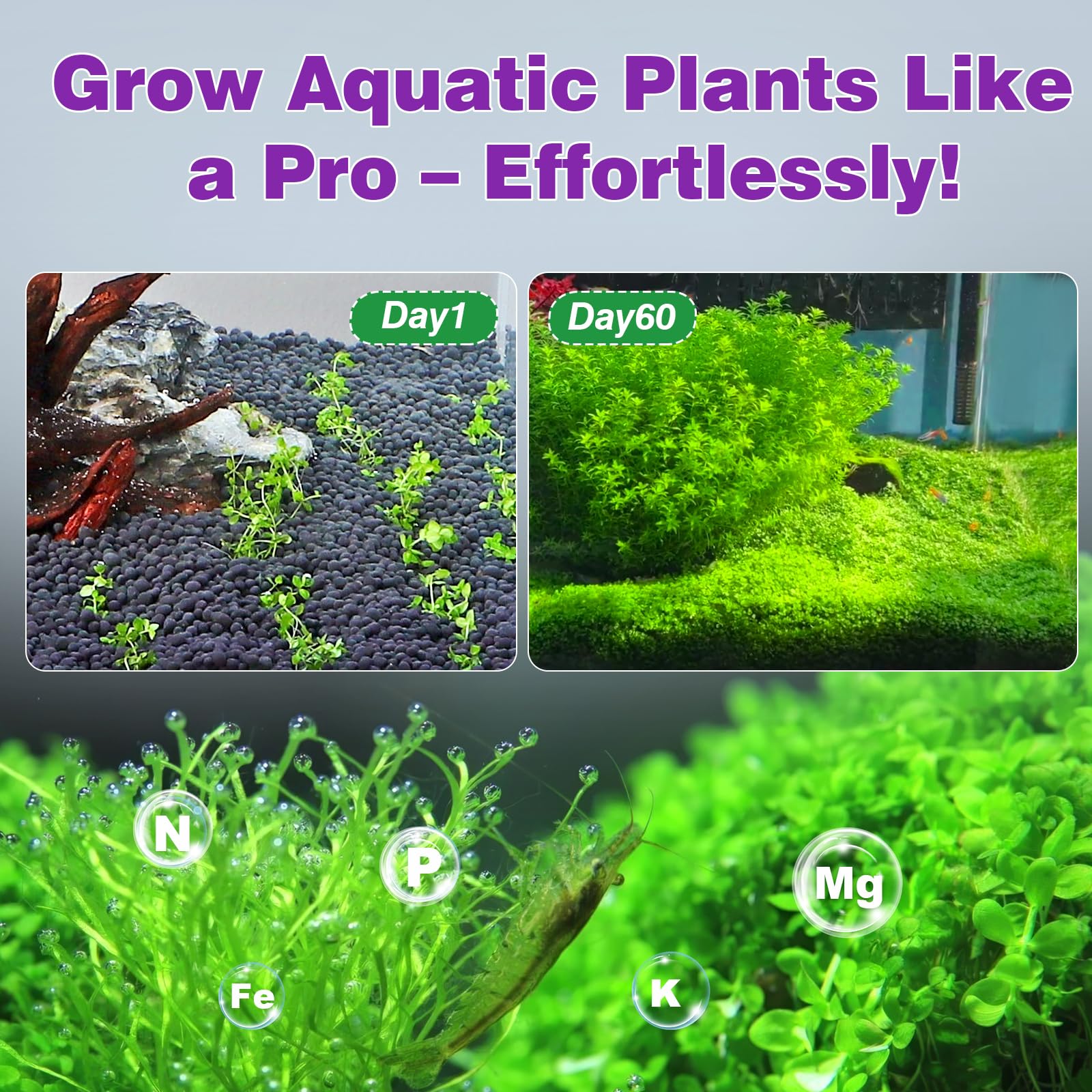 Hygger CO2 sol d'aquarium : grains fins qui restent en place pour un fond propre.