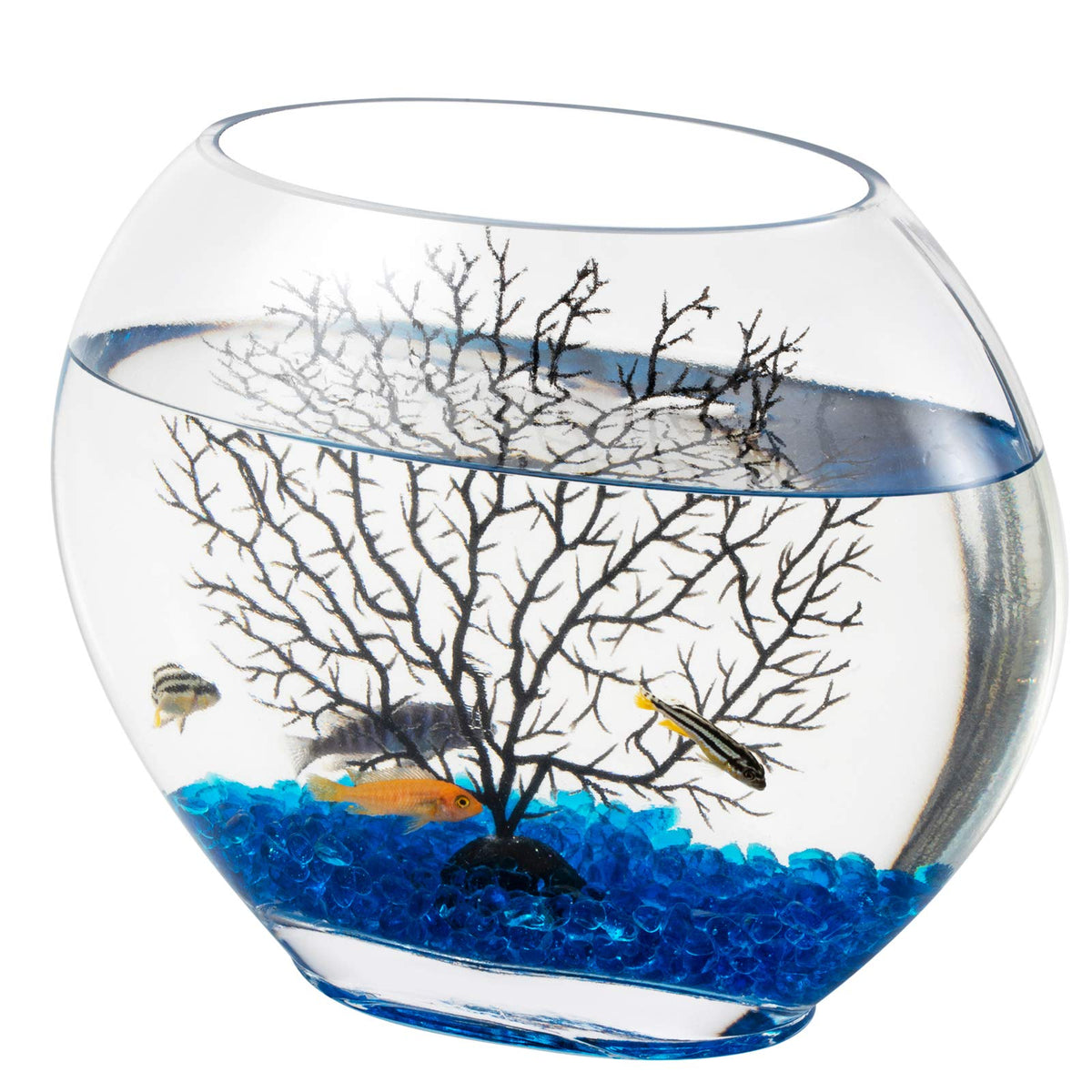 hygger mini bocal oblate bleu avec pierres décoratives pour ambiance zen.