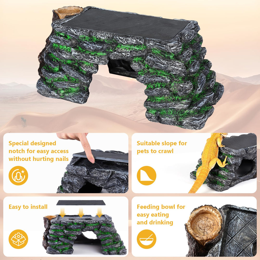 Hygger Zoo Base-stable et robuste pour terrarium en toute sécurité.