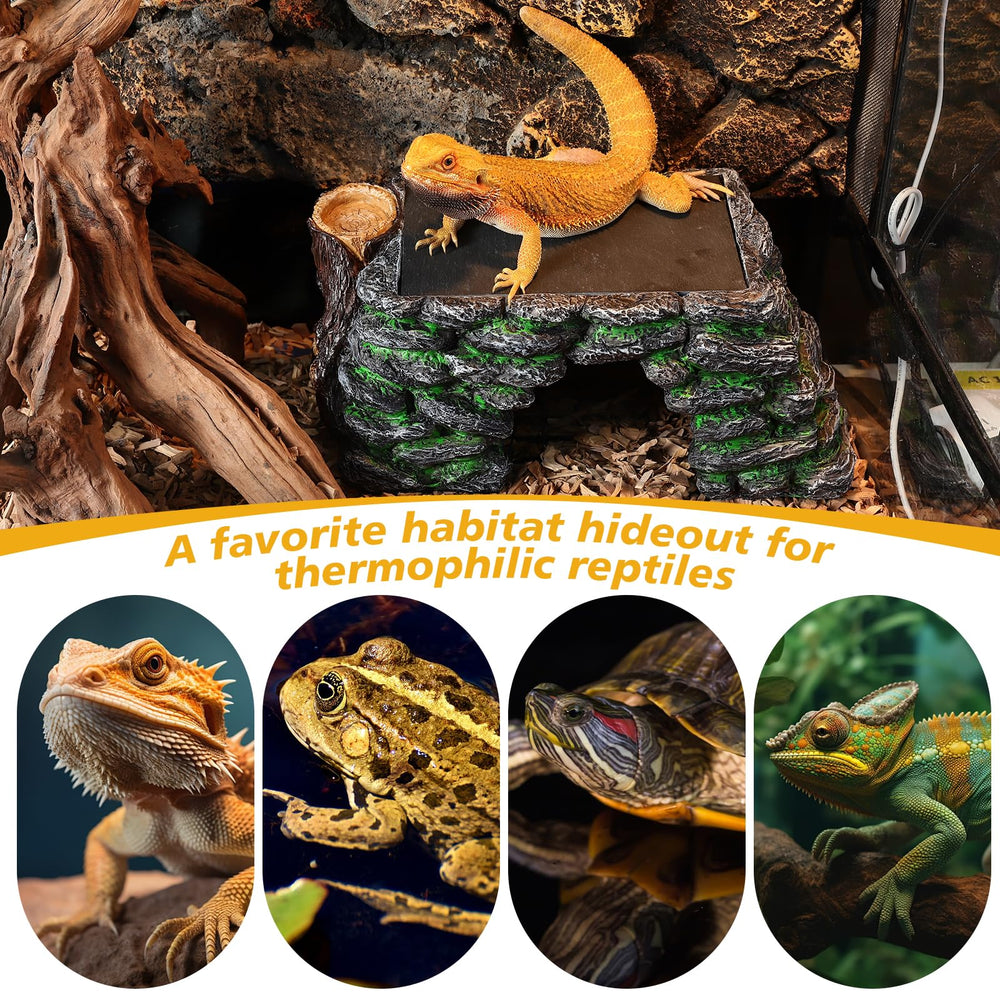 Hygger Zoo Utilisation-multi-especes, reptiles et amphibiens peuvent en bénéficier.