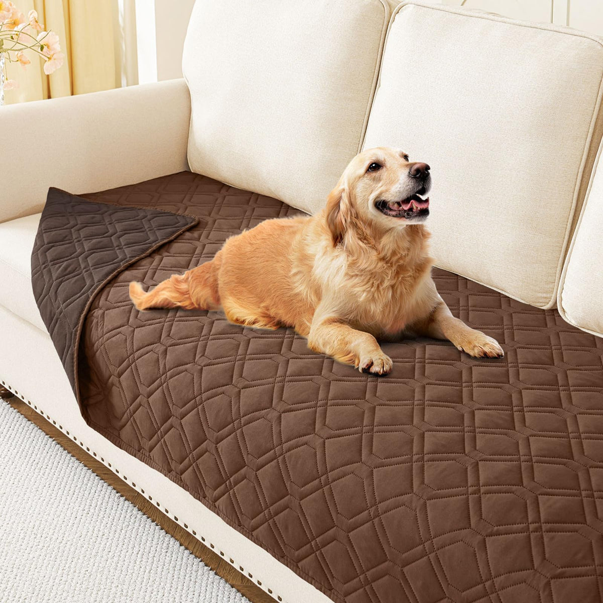 hyha couverture chien etanche face avant, protection confortable du canapé