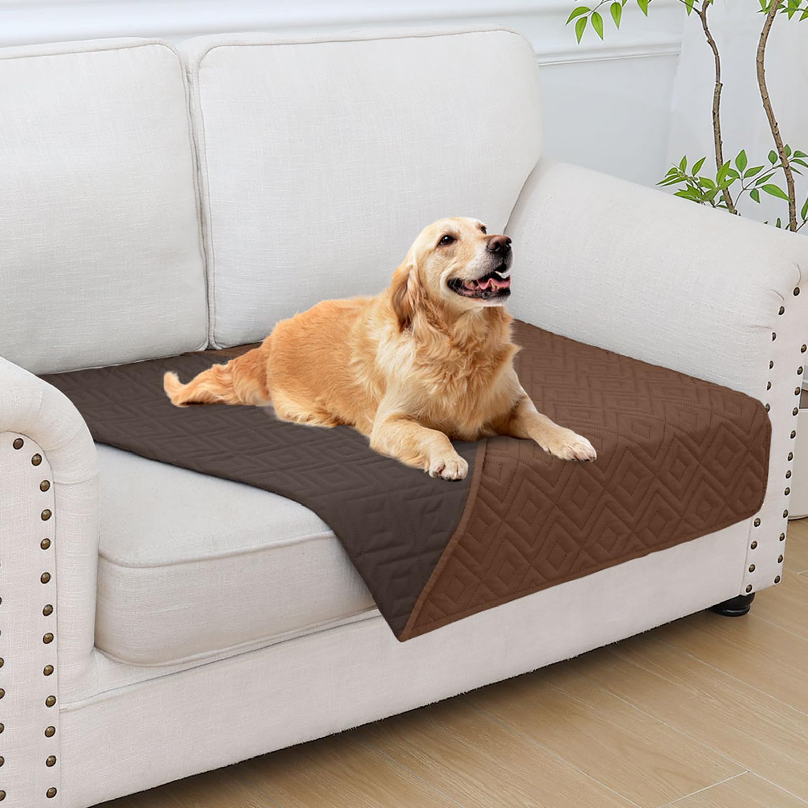 Hyha tapis chien impermeable chocolat : protege le canape des taches et liquides.