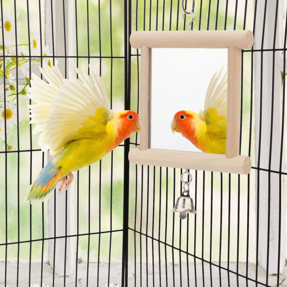 Accessoire Hypeety, stimulation mentale pour oiseau avec cloche et miroir.