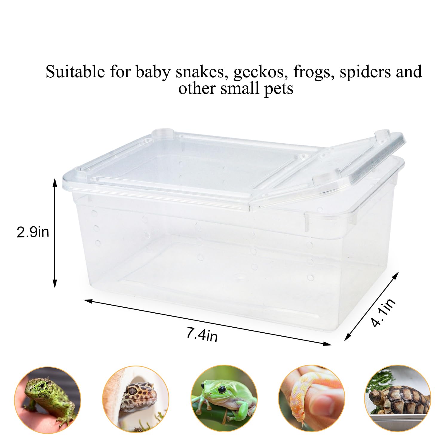 Boîte transparente Hypeety pour observation facile des repas