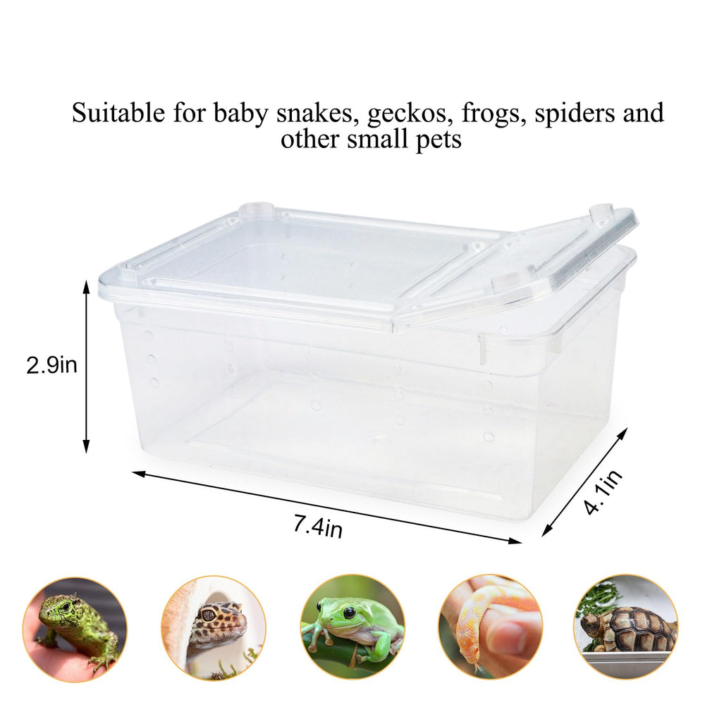 Boîte transparente Hypeety pour observation facile des repas