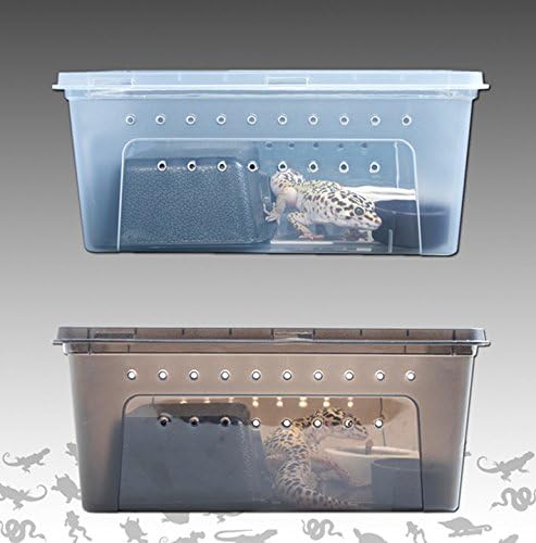 Boîte de transport compacte Hypeety pour animaux miniatures