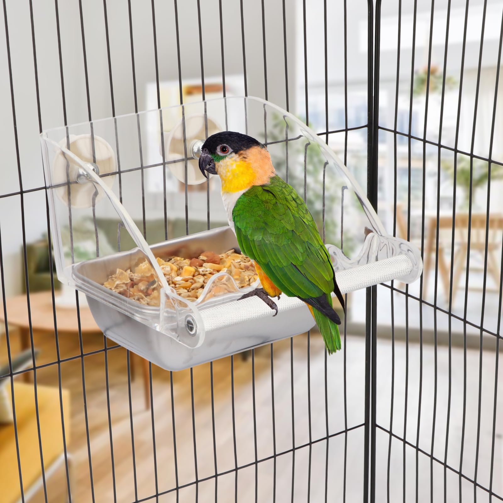 Mangeoire Hypeety transparente sur cage standard, observation facile des repas