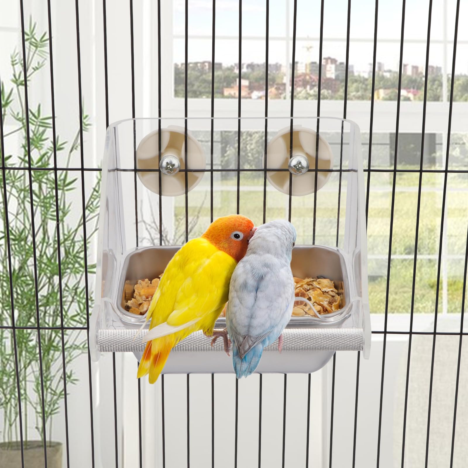 Dimensions adaptées pour petits oiseaux comme budgies avec la mangeoire Hypeety