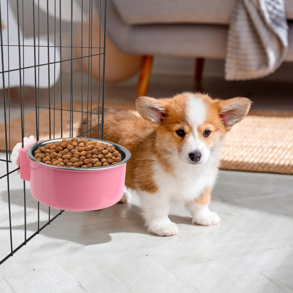 Capacité adaptée pour petits chiens, chats et lapins, sans encombrer l’espace.