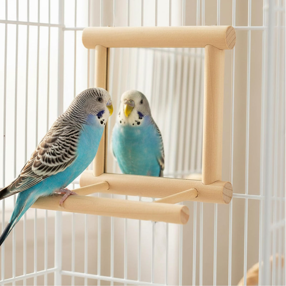 Installation facile dans cage ou près d'une fenêtre, pour un nouvel espace ludique.