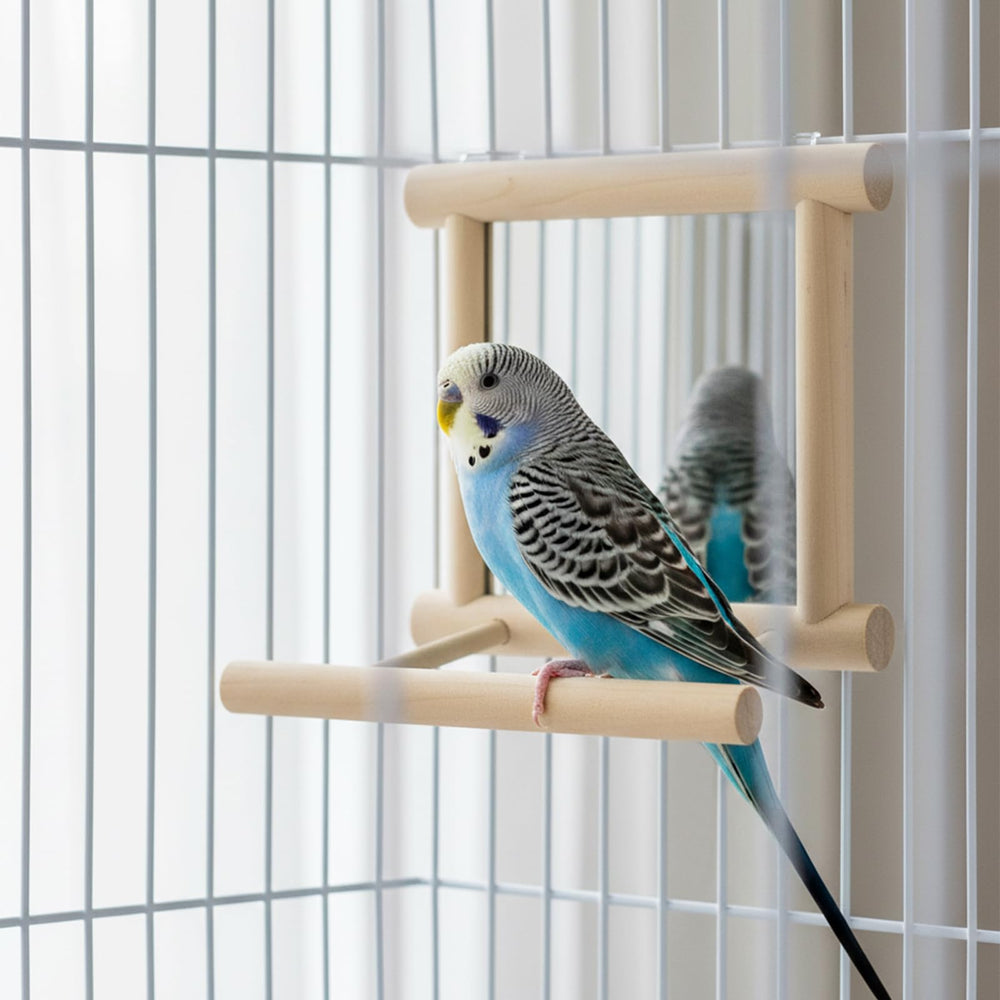 Miroir et perchoir en bois; stimule la dentition et l'exercice des oiseaux.