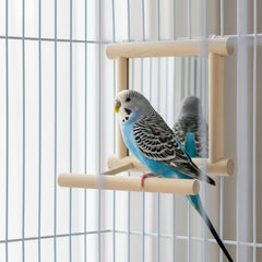 Miroir et perchoir en bois; stimule la dentition et l'exercice des oiseaux.