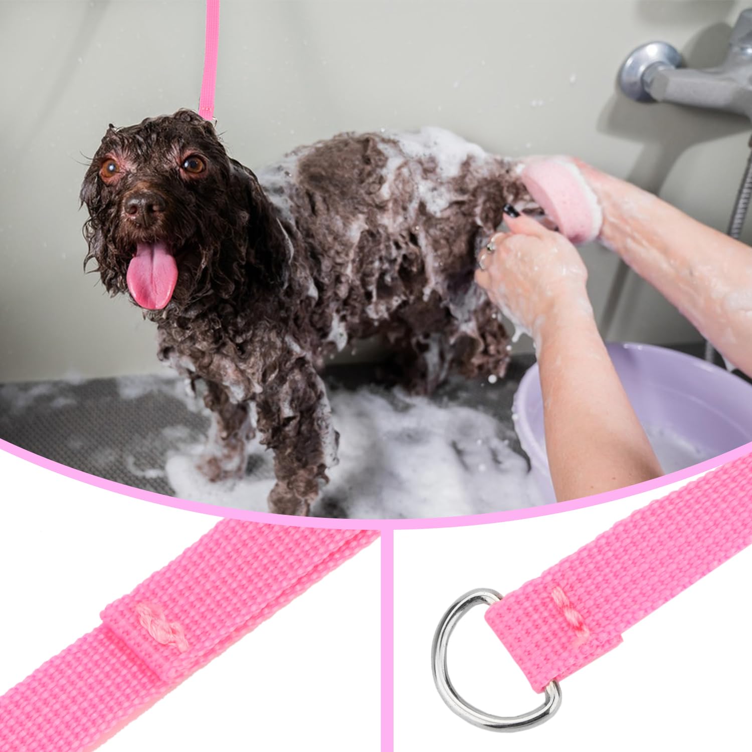Longueur 120 cm: laisse Slip Hypeety adaptée pour petits chiens et chats.