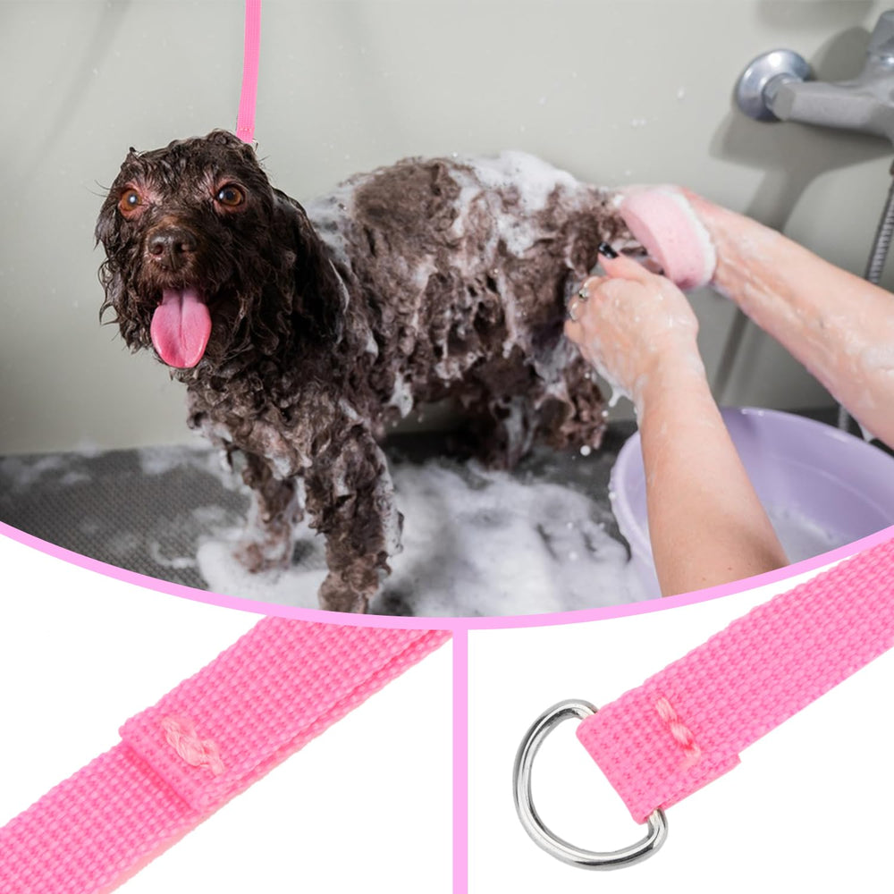 Longueur 120 cm: laisse Slip Hypeety adaptée pour petits chiens et chats.